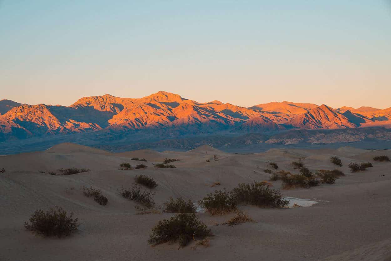 Mesquite Sand Dune Flats Death Valley National Park California
