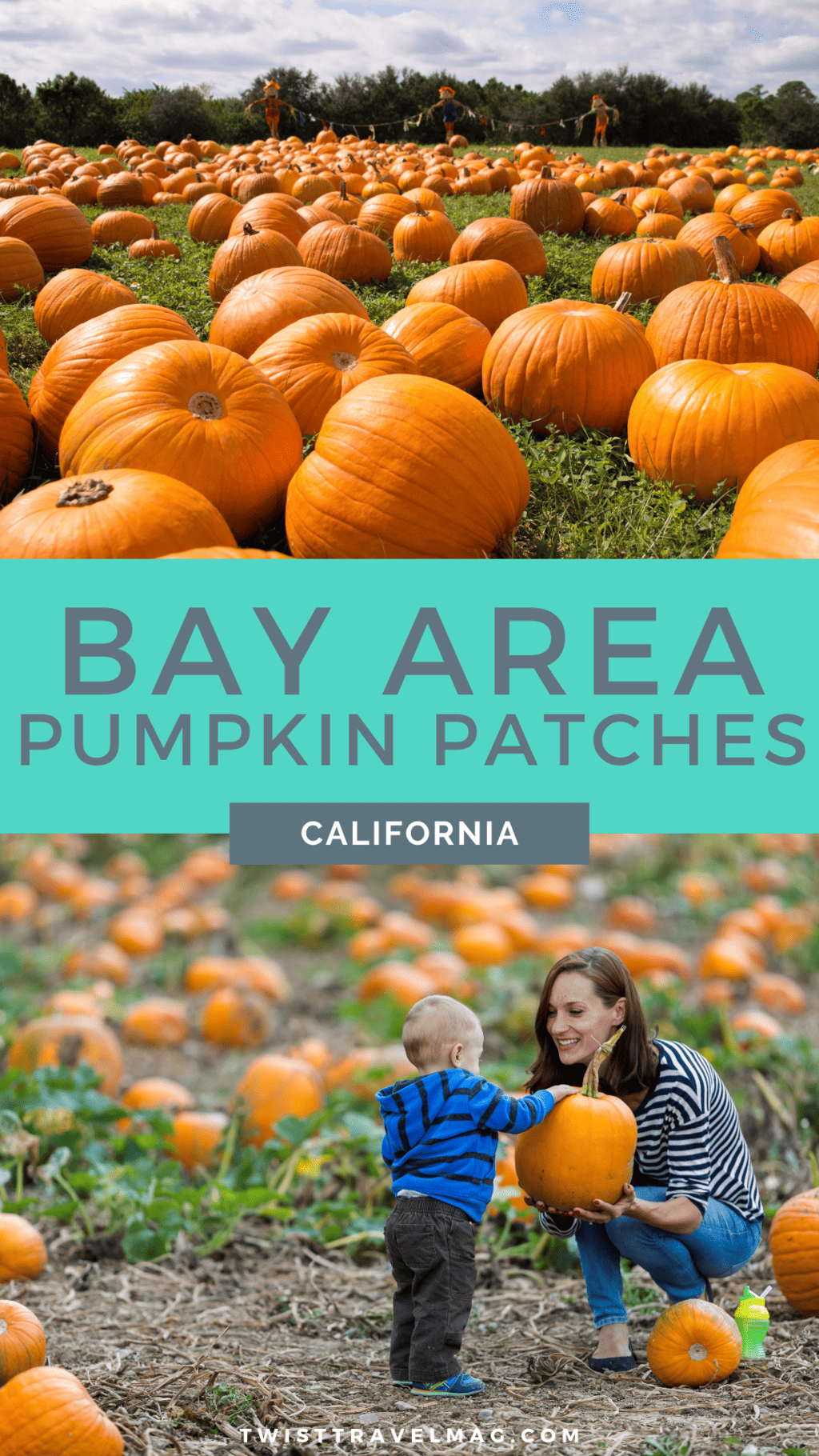 San Francisco Bay Area Pumpkin Patches - credit Keryn Means of Twist Travel Magazine