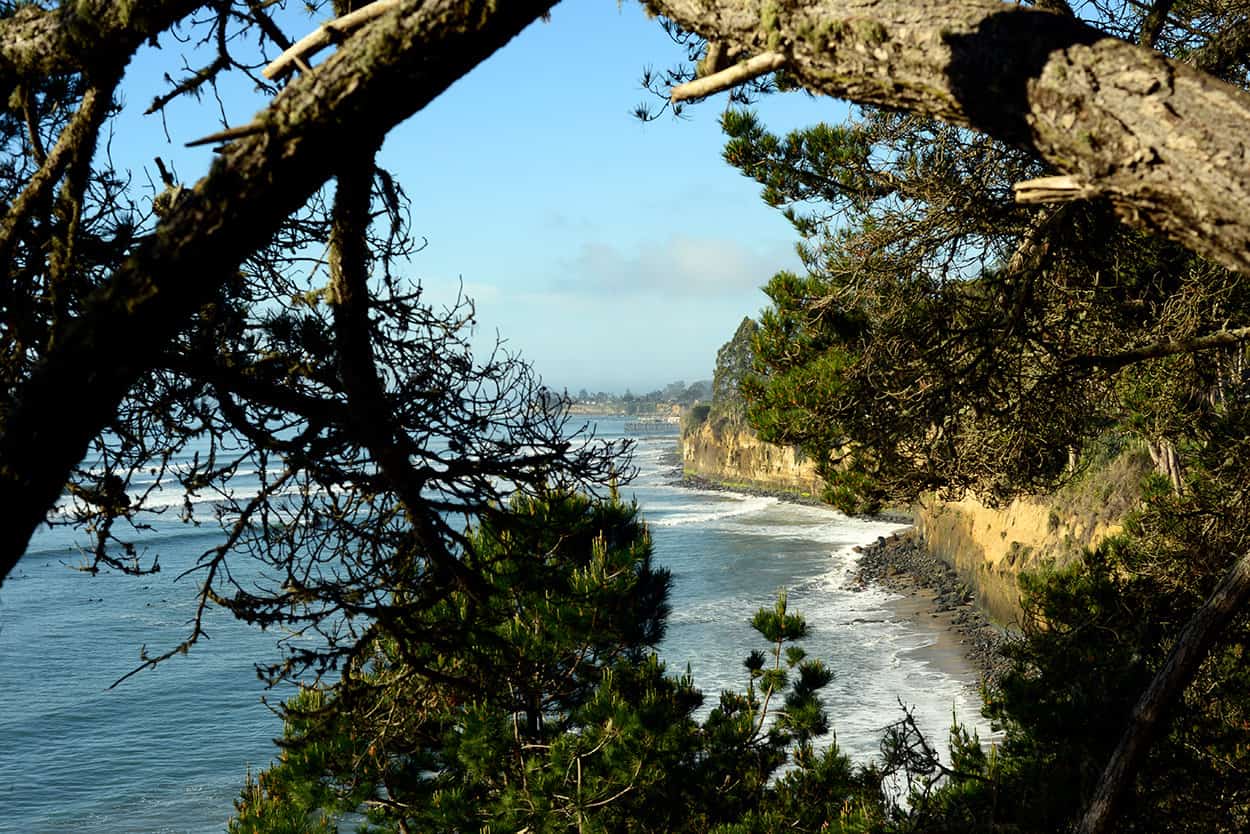 New Brighton State Beach in Capitola California