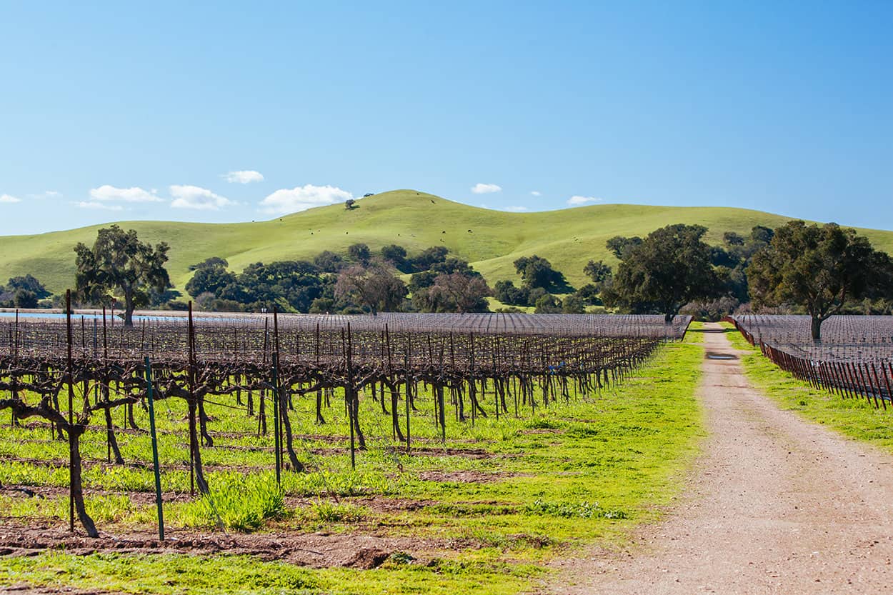 Solvang Wineries in California