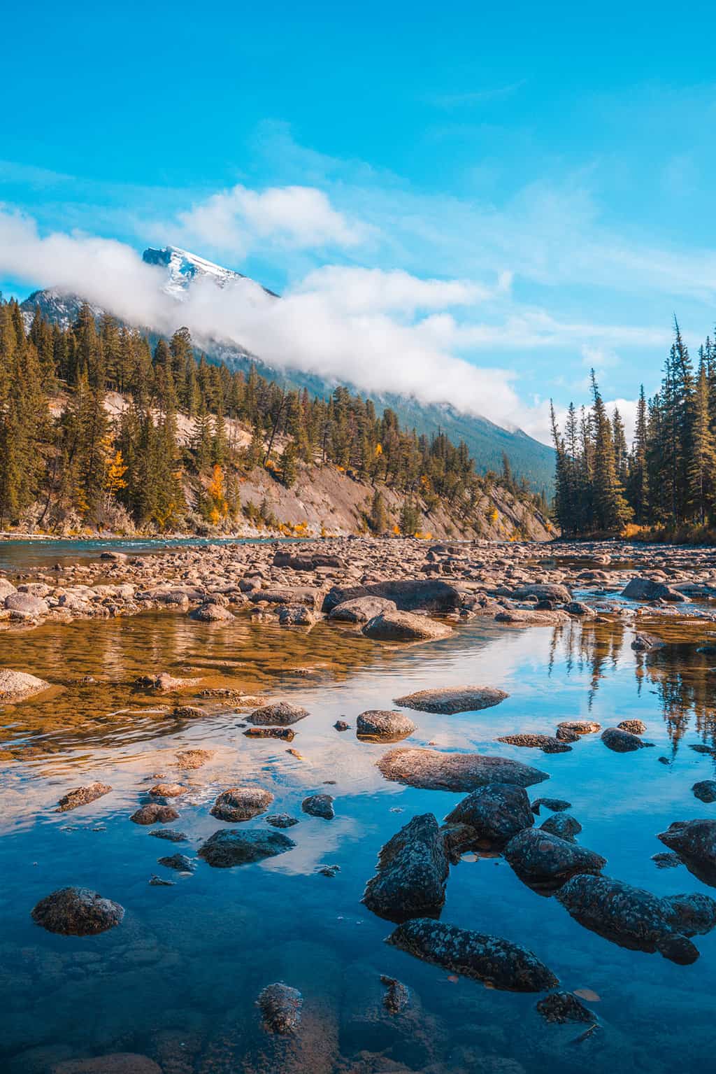 Bow River in Banff National Park Alberta Canada