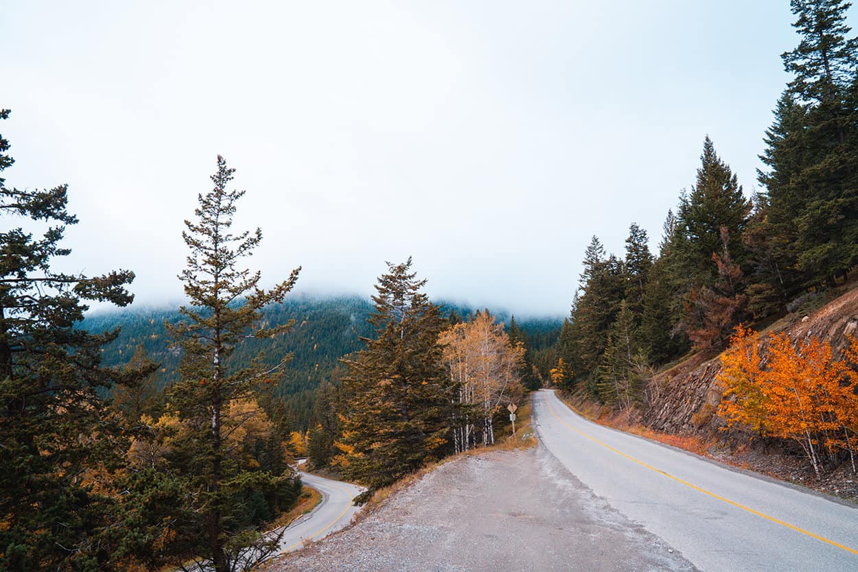 Road to Mount Norquay Banff National Park