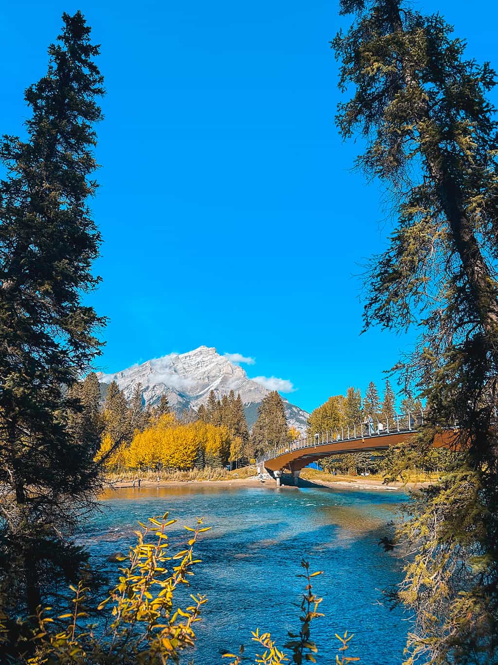 Bow River in Banff National Park