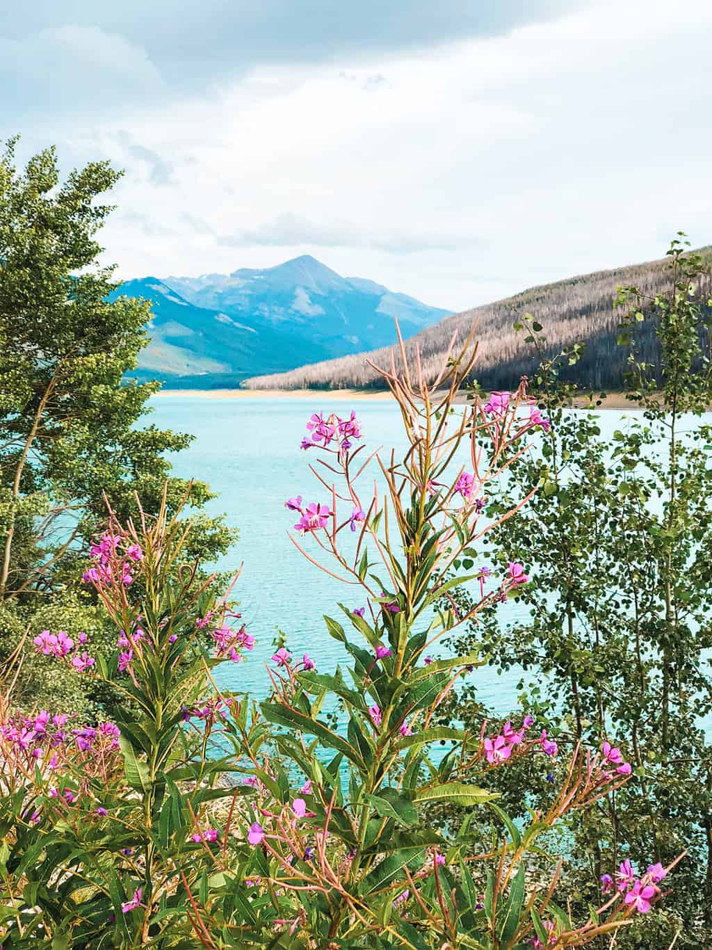 Medicine Lake- summer in Jasper National Park