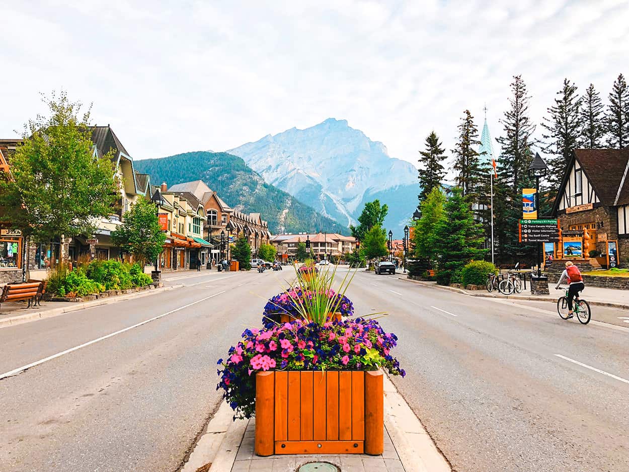 Summer in Banff National Park with flowers