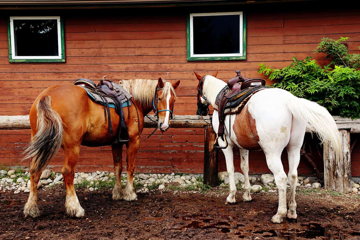 Fairmont Stables in Jasper National Park Alberta Canada