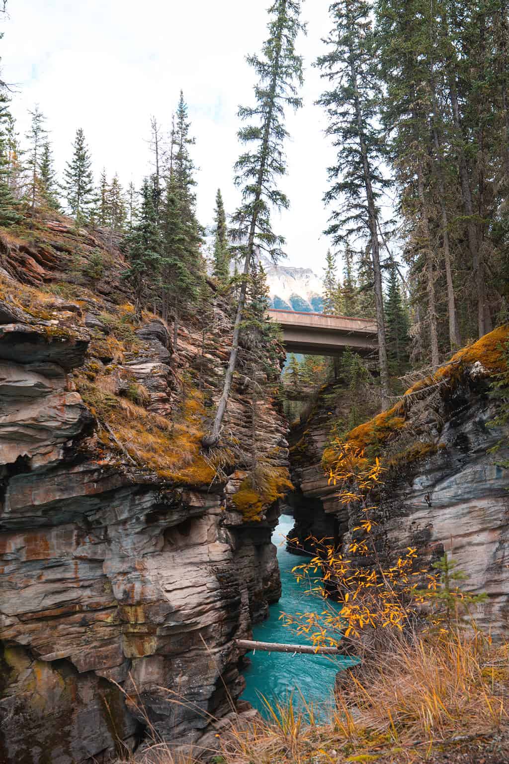 Athabasca Falls in Jasper National Park Alberta Canada