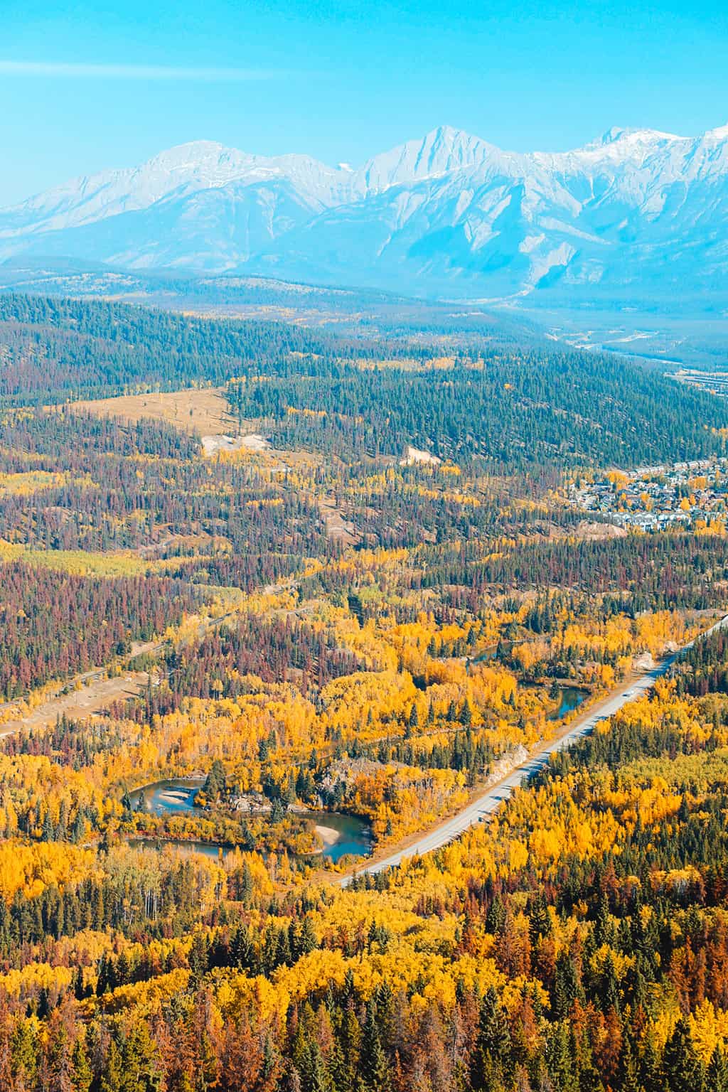 Jasper National Park view from The Whistlers off the Jasper SkyTram