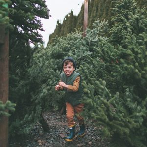 Cut Your Own Christmas Tree Farms in Santa Cruz California