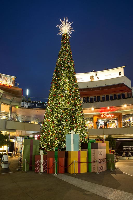 Christmas tree all lit up for the holidays in Santa Monica