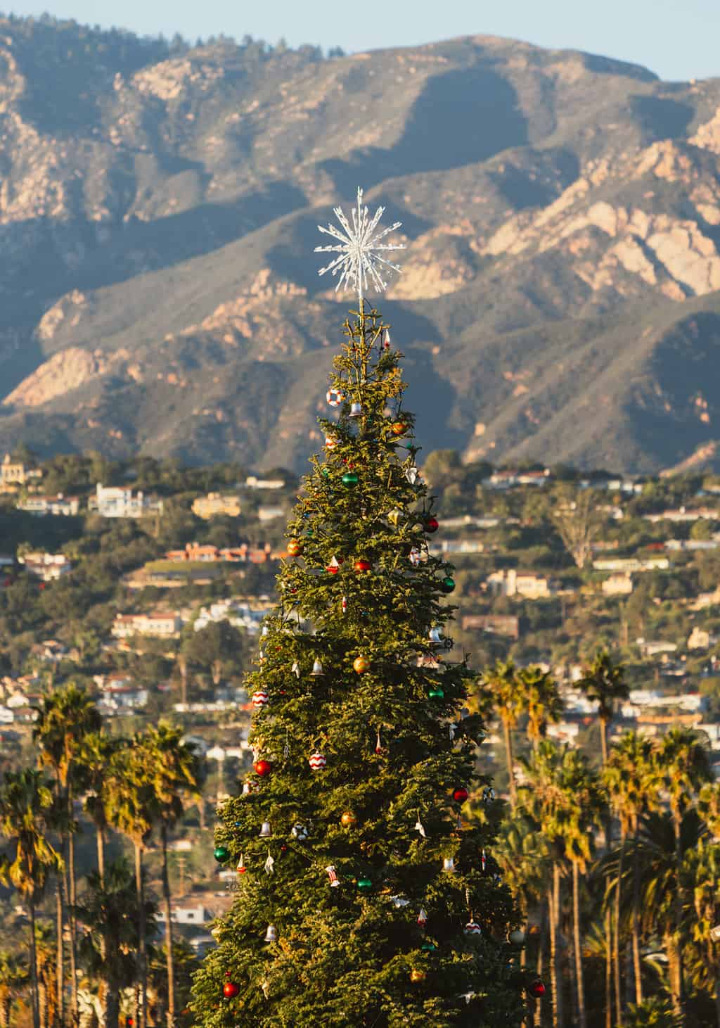 Santa Barbara Christmas tree at Stearns Wharf in California