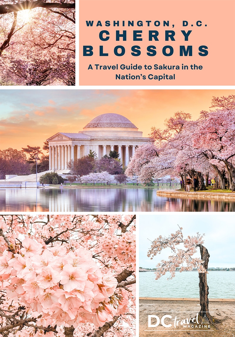 Washington DC Cherry Blossoms Guidebook and Itinerary