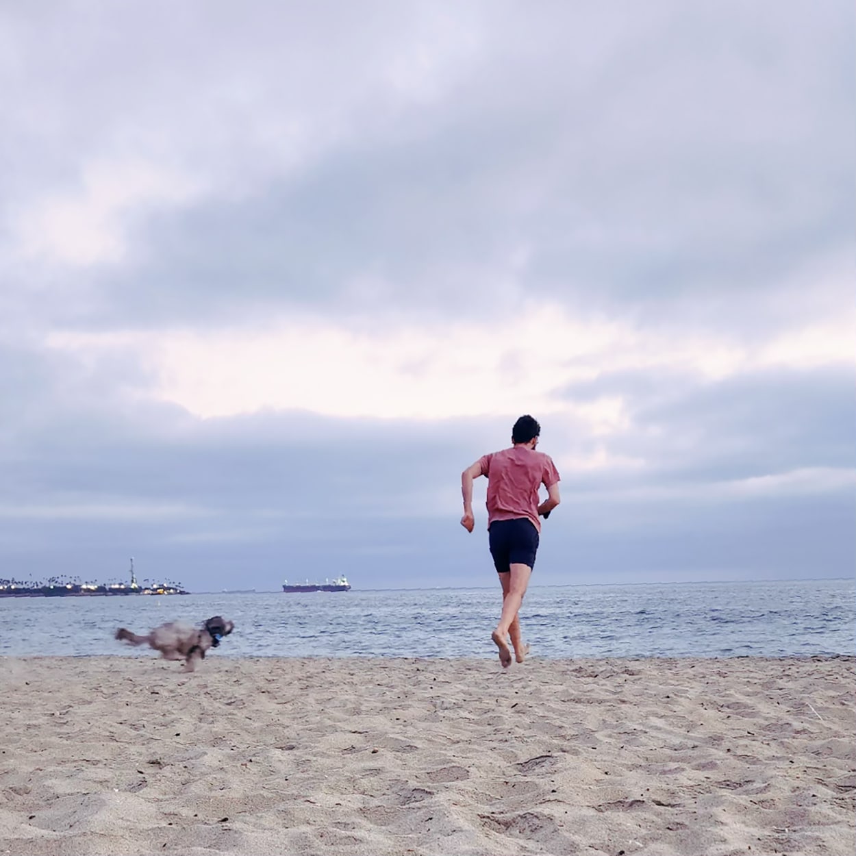 12 Pint-Sized Things to do in Long Beach with Toddlers + Babies 9 Rosie's Dog Beach in Long Beach, CA - credit Keryn Means