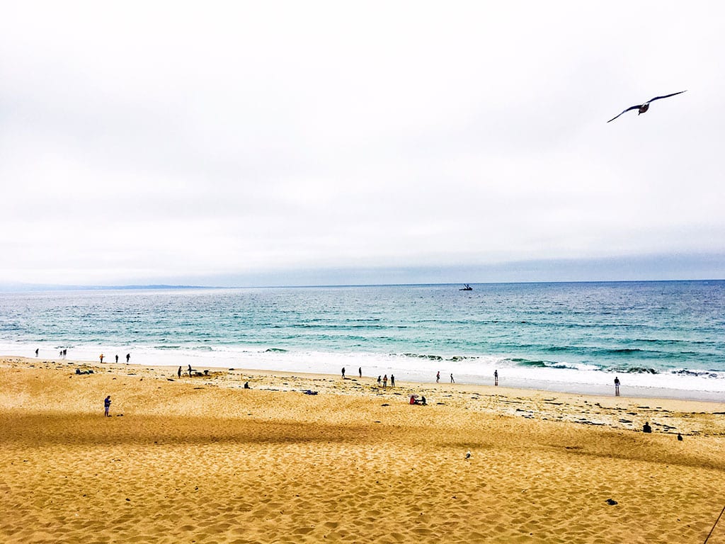 13 Unique and Fantastic Things to do in Marina CA 2 Marina State Beach in Marina CA- credit Keryn Means