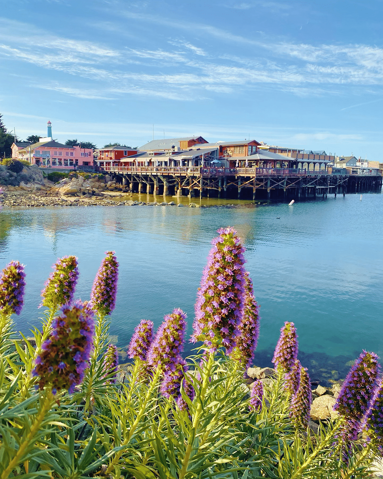 13 Unique and Fantastic Things to do in Marina CA 5 Fisherman's Wharf in Monterey CA - credit Keryn Means