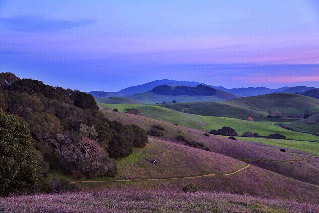 55 Awesome & Unique Things to Do in Petaluma CA 4 Petaluma, CA