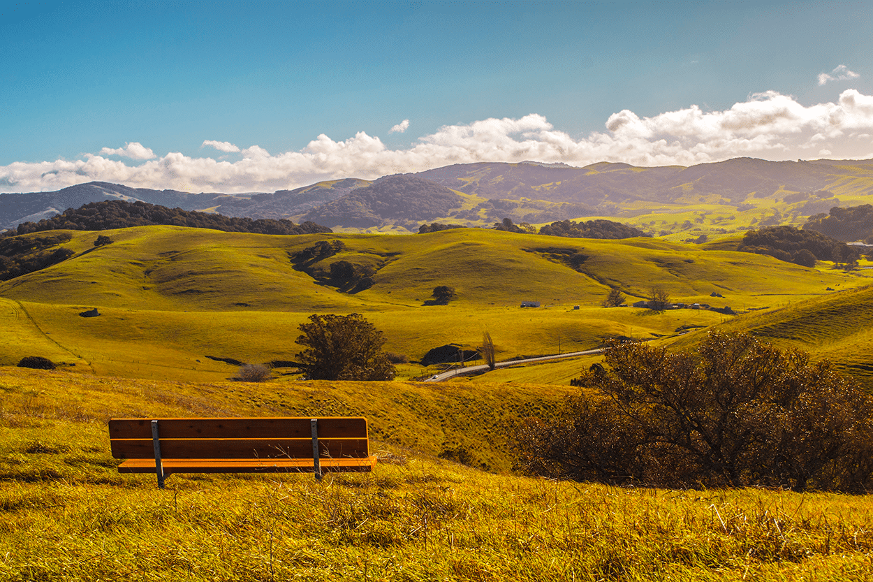 55 Awesome & Unique Things to Do in Petaluma CA 1 Regional Park in Petaluma California- credit DepositPhotos