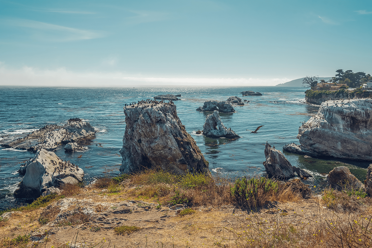12 Amazing Things to Do in Pismo Beach CA 3 Cliffs, Rocks, Arches, and Flock of Birds. Shell Beach Area of Pismo Beach, California- credit DepositPhotos
