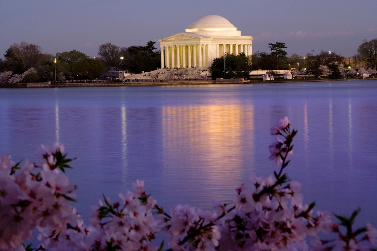 15+ Teen-Approved Things to Do in Washington DC 2 Monuments at night during Cherry Blossom Season