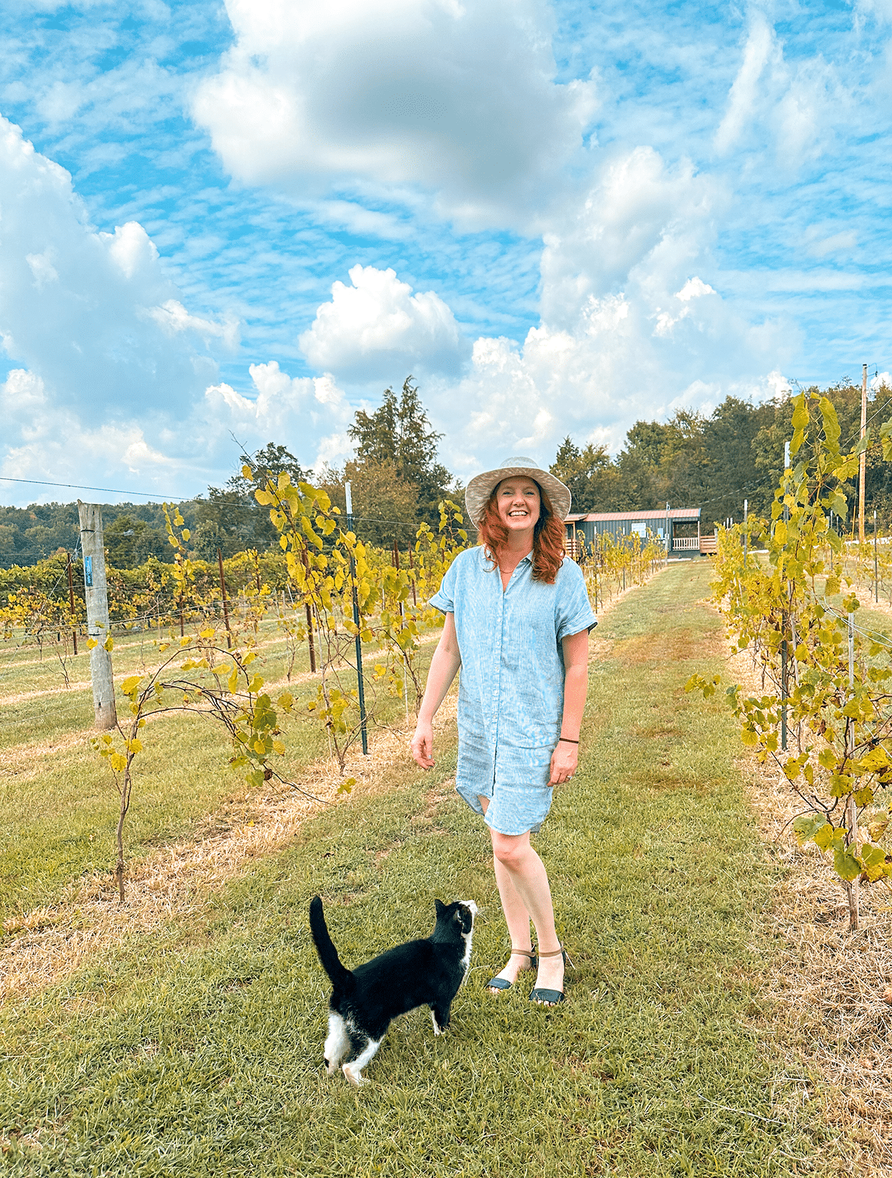 Bowling Green KY: An Unconventional Girls’ Getaway Weekend Itinerary 4 Traveler's Cellar Winery in Bowling Green, KY- credit Keryn Means
