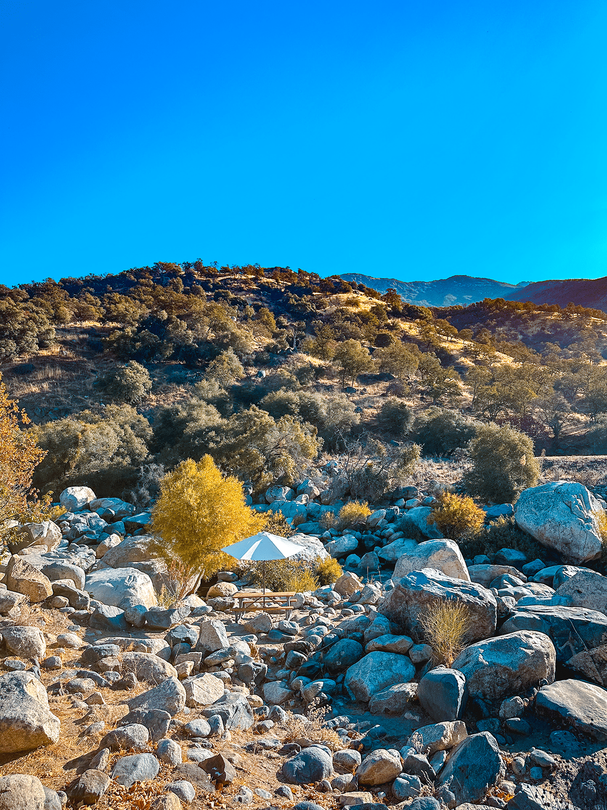 One-Day in Sequoia National Park Itinerary with Kids 25 View of the river from Buckeye Tree Lodge and Cabins in Three Rivers, CA. Credit Keryn Means