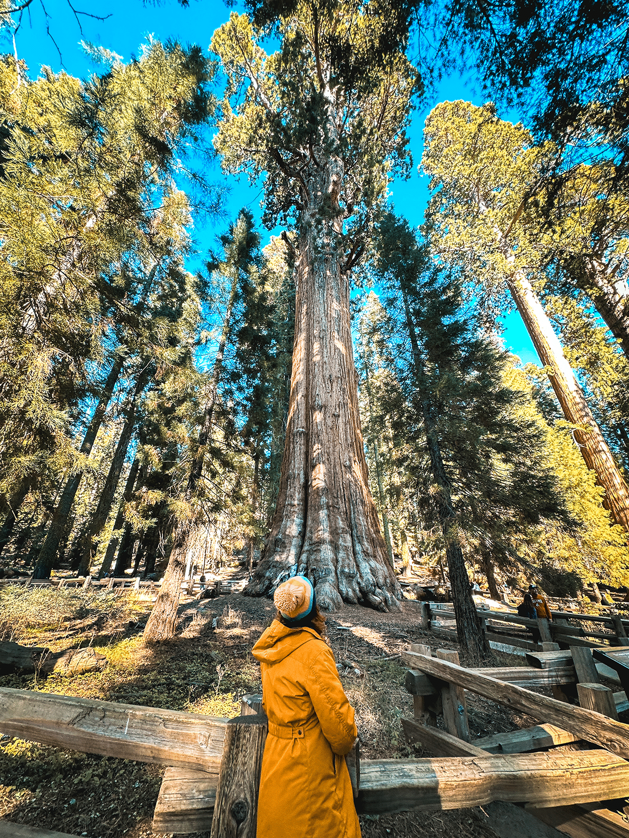 One-Day in Sequoia National Park Itinerary with Kids 1 Keryn in front of General Sherman in Sequoia National Park- credit Keryn Means Twist Travel Magazine