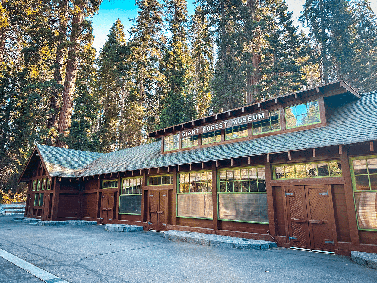 One-Day in Sequoia National Park Itinerary with Kids 11 Giants Forest Museum in Sequoia National Park. Credit Keryn Means, TwistTravelMag.com