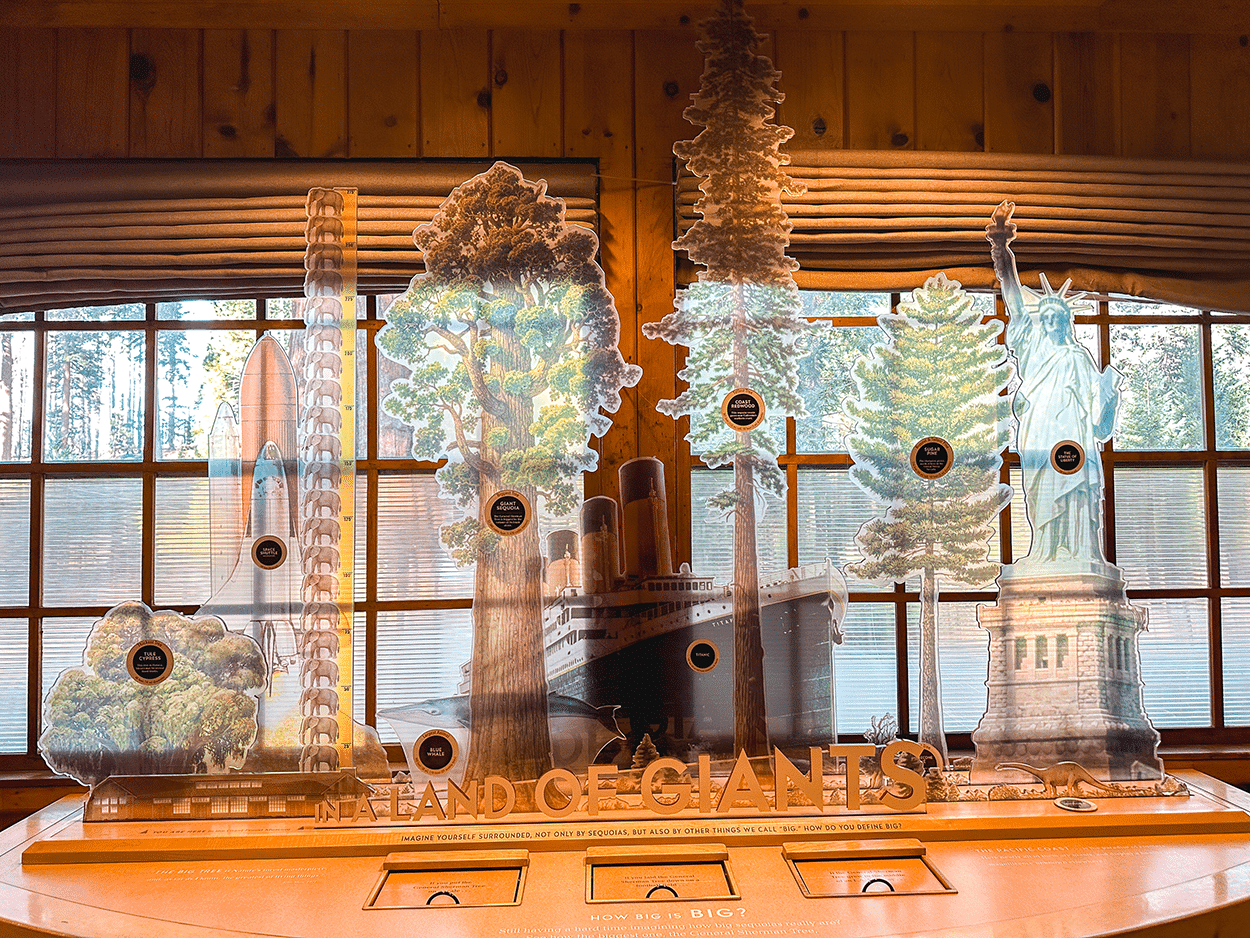One-Day in Sequoia National Park Itinerary with Kids 12 Giants Forest Museum in Sequoia National Park. Credit Keryn Means, TwistTravelMag.com