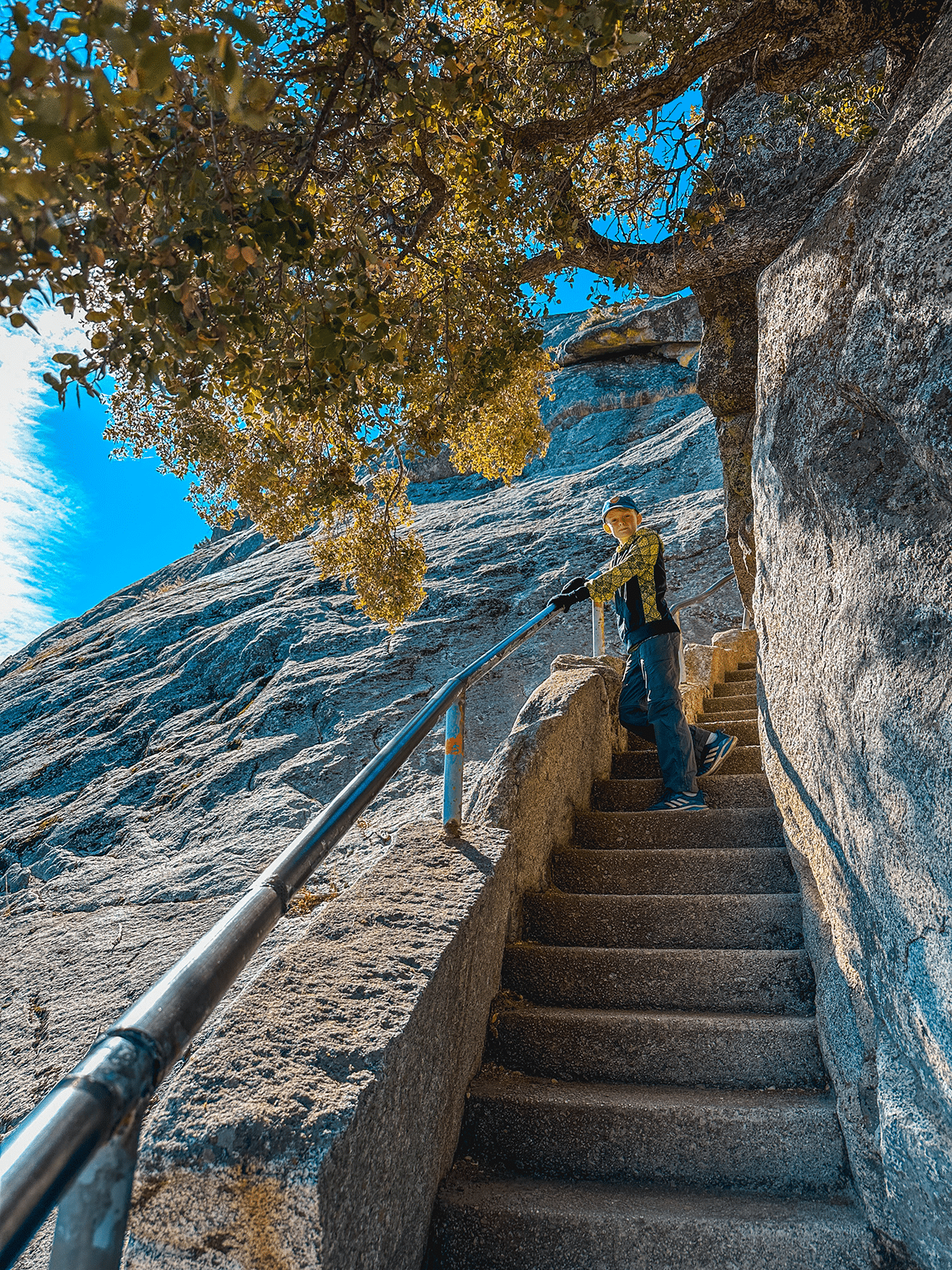 One-Day in Sequoia National Park Itinerary with Kids 6 Stairs up Moro Rock in Sequoia National Park in California- credit Keryn Means, TwistTravelMag.com