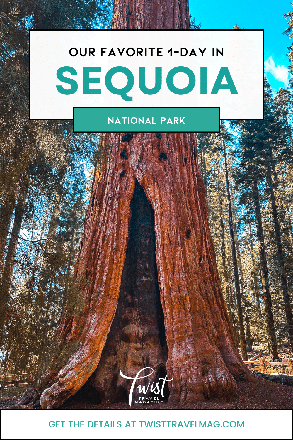 One-Day in Sequoia National Park Itinerary with Kids 33 Things to do in Sequoia National Park