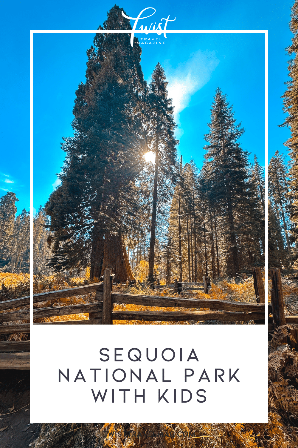 One-Day in Sequoia National Park Itinerary with Kids 32 Sequoia National Park California with Kids