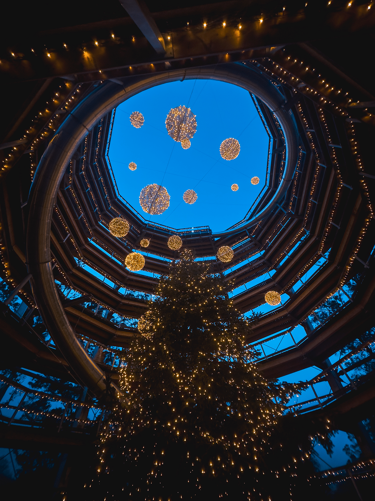 Your Ultimate Ireland Christmas Market Road Trip Itinerary 19 Beyond the Trees in County Wicklow, Ireland