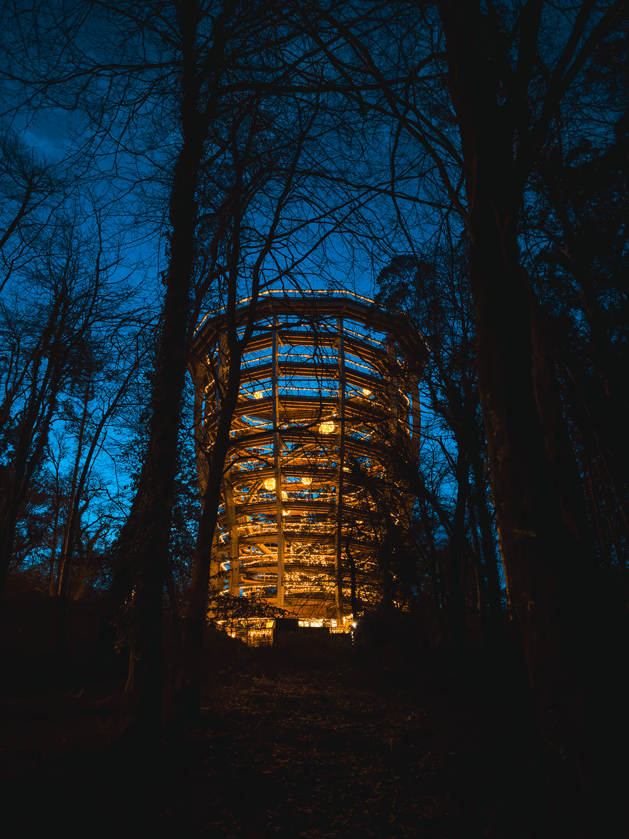 Your Ultimate Ireland Christmas Market Road Trip Itinerary 18 Beyond the Trees in County Wicklow, Ireland