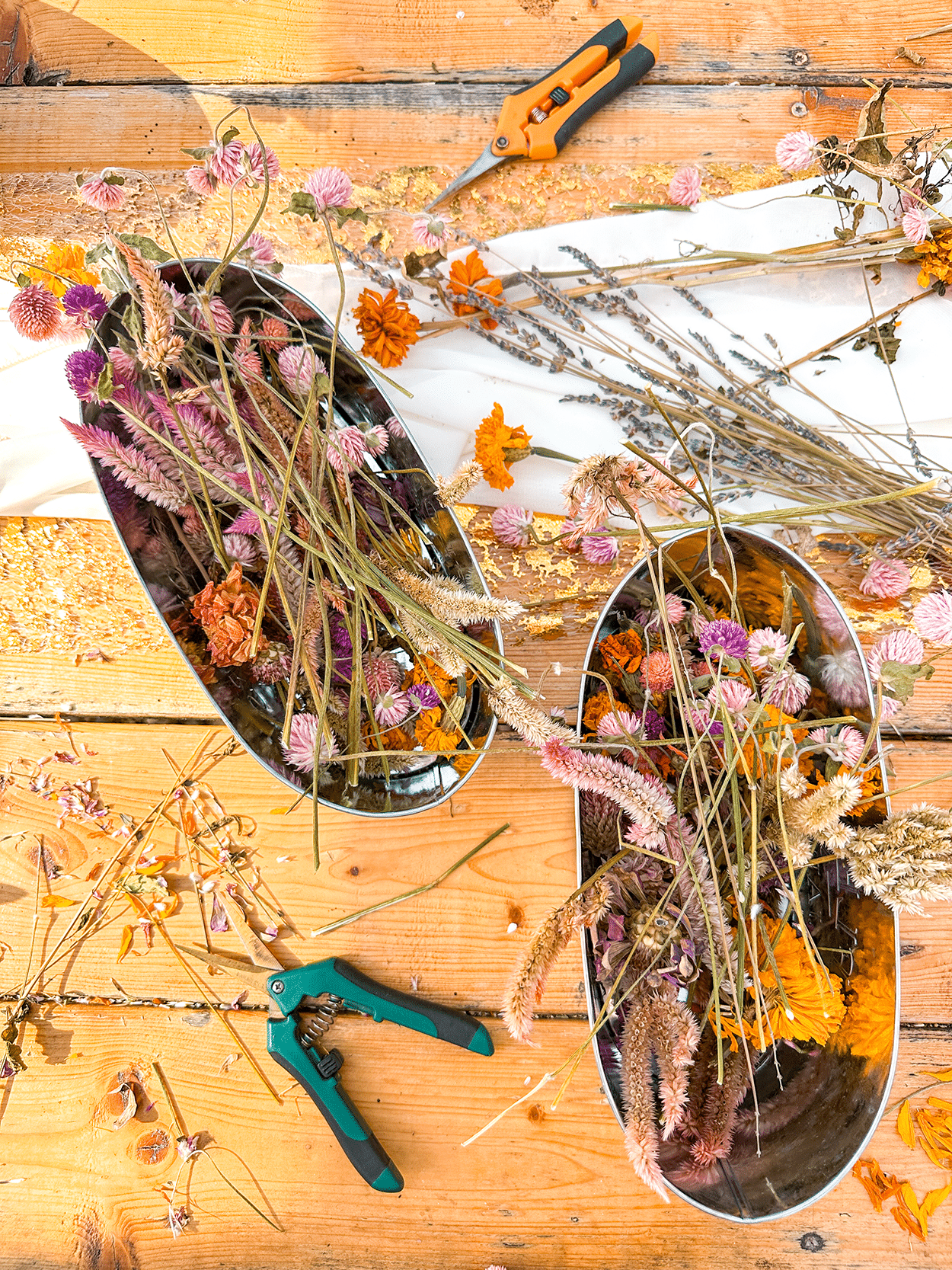 Girls' Trip to Tupelo, MS: Southern Weekend Getaway Itinerary 15 Fresh Farm Tupelo