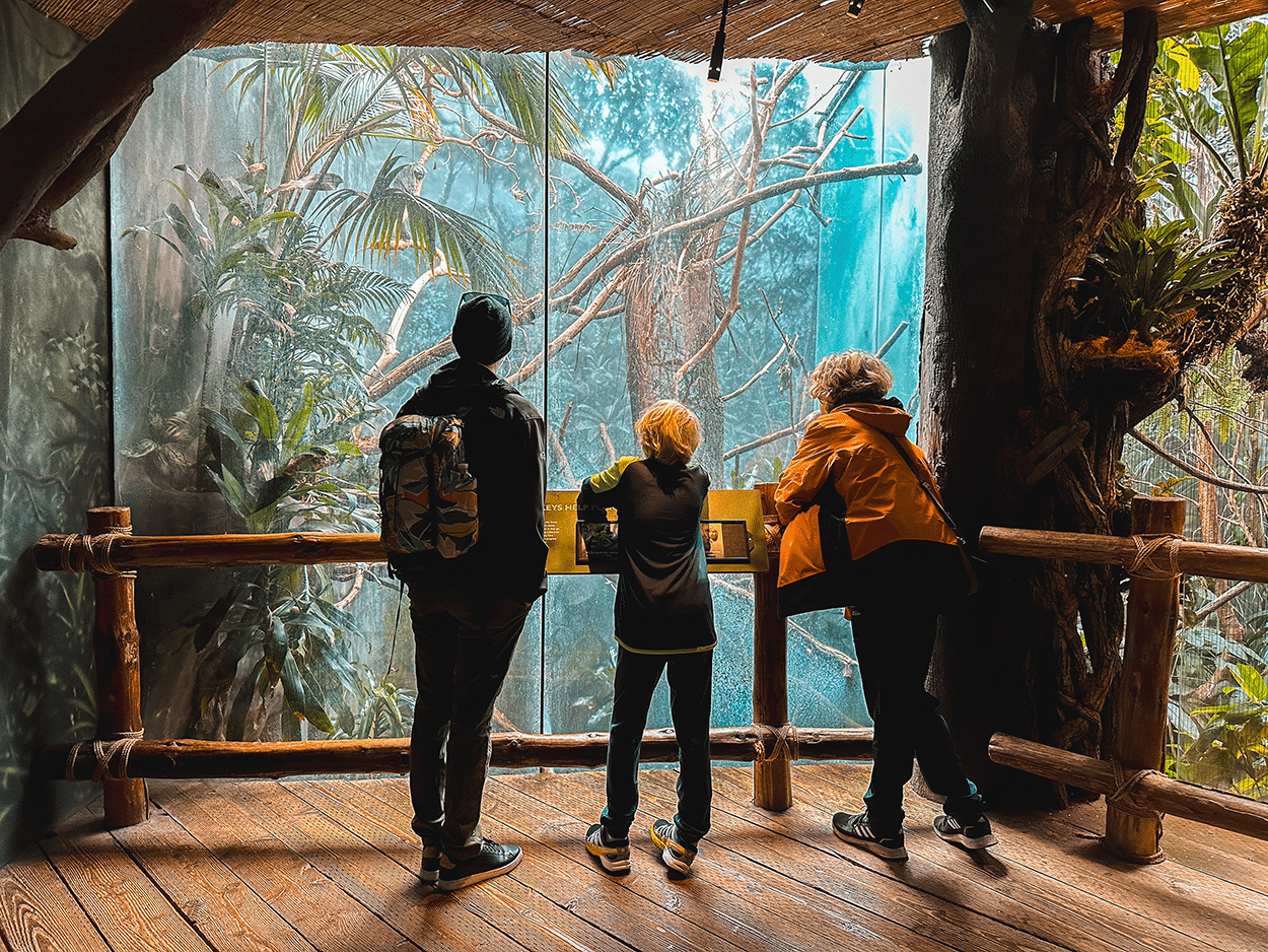 Our Favorite Seattle Rainy Day Boredom Buster Activities with Kids 7 Woodland Park Zoo in Seattle Washington