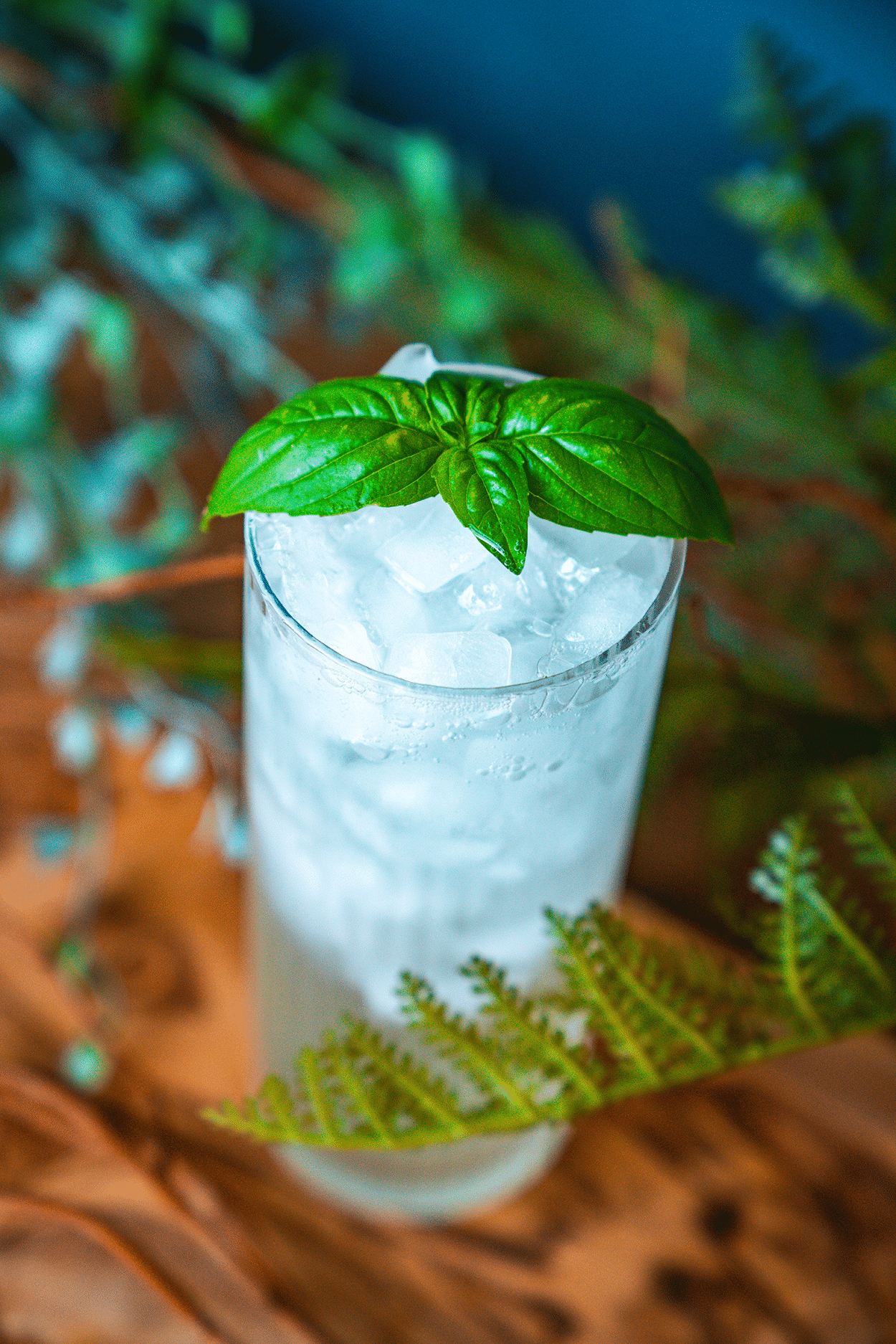 Orange Blossom Basil Fizz 6 Orange Blossom Basil Fizz cocktail recipe