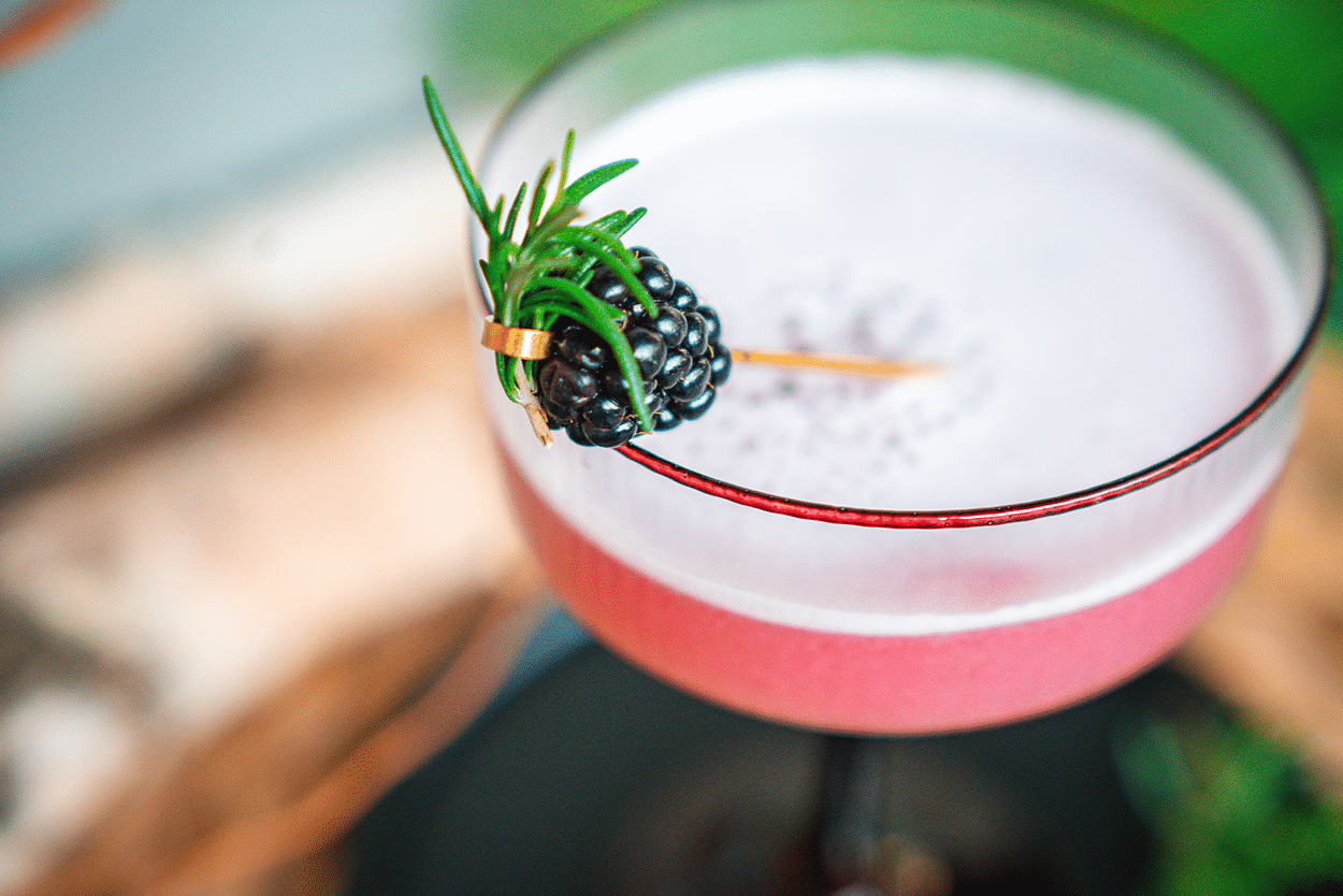 Rosemary Reverie: A Rosemary Blackberry Gin Sour Recipe 2 Rosemary Reverie, a rosemary blackberry gin cocktail recipe