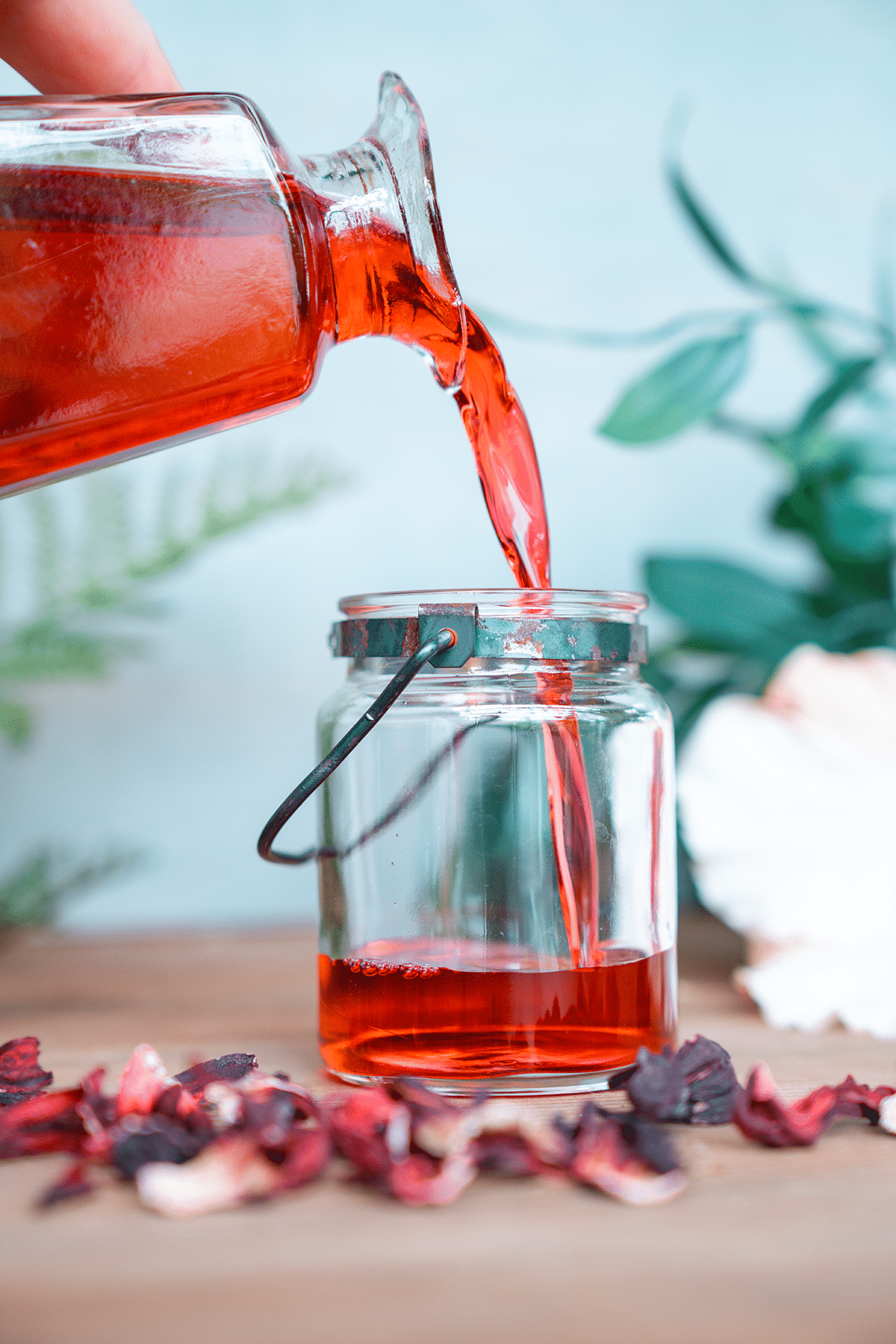 Hibiscus Simple Syrup Recipe 9 hibiscus simple syrup recipe