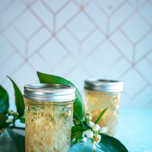 How to Make Orange Blossom Water (2 Easy Methods) 6 Steeping orange blossoms in cold water