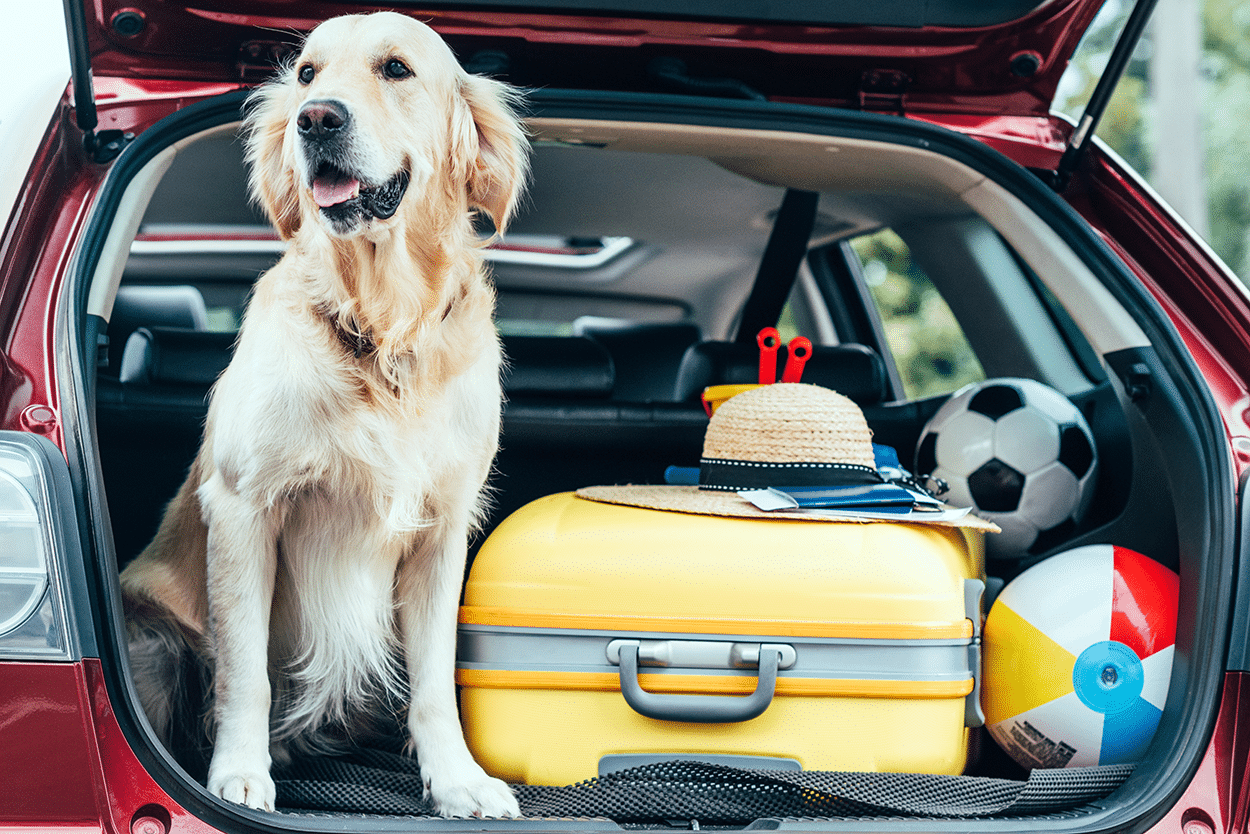 Road Trip Packing List: What to Pack and What to Leave at Home 3 Road Trip Packing Guide for families