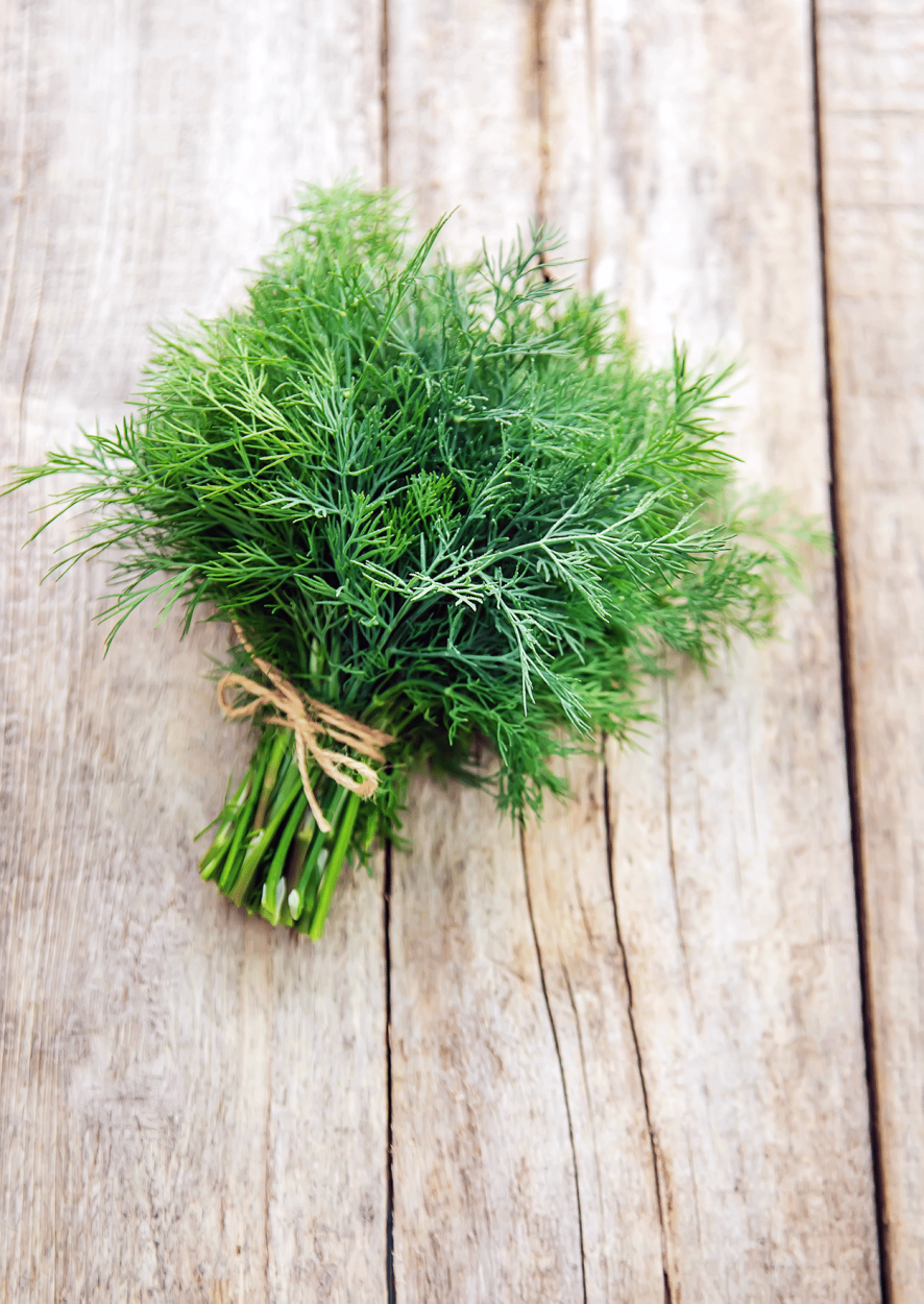 The Ultimate Guide to Using Fresh Herbs in Cocktails 29 Dill for cocktail recipes
