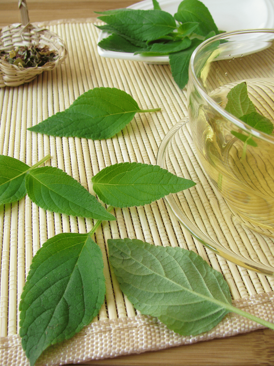 Pineapple Sage in Cocktails: How to Use This Fruity, Floral Herb 2 Pineapple sage leaves