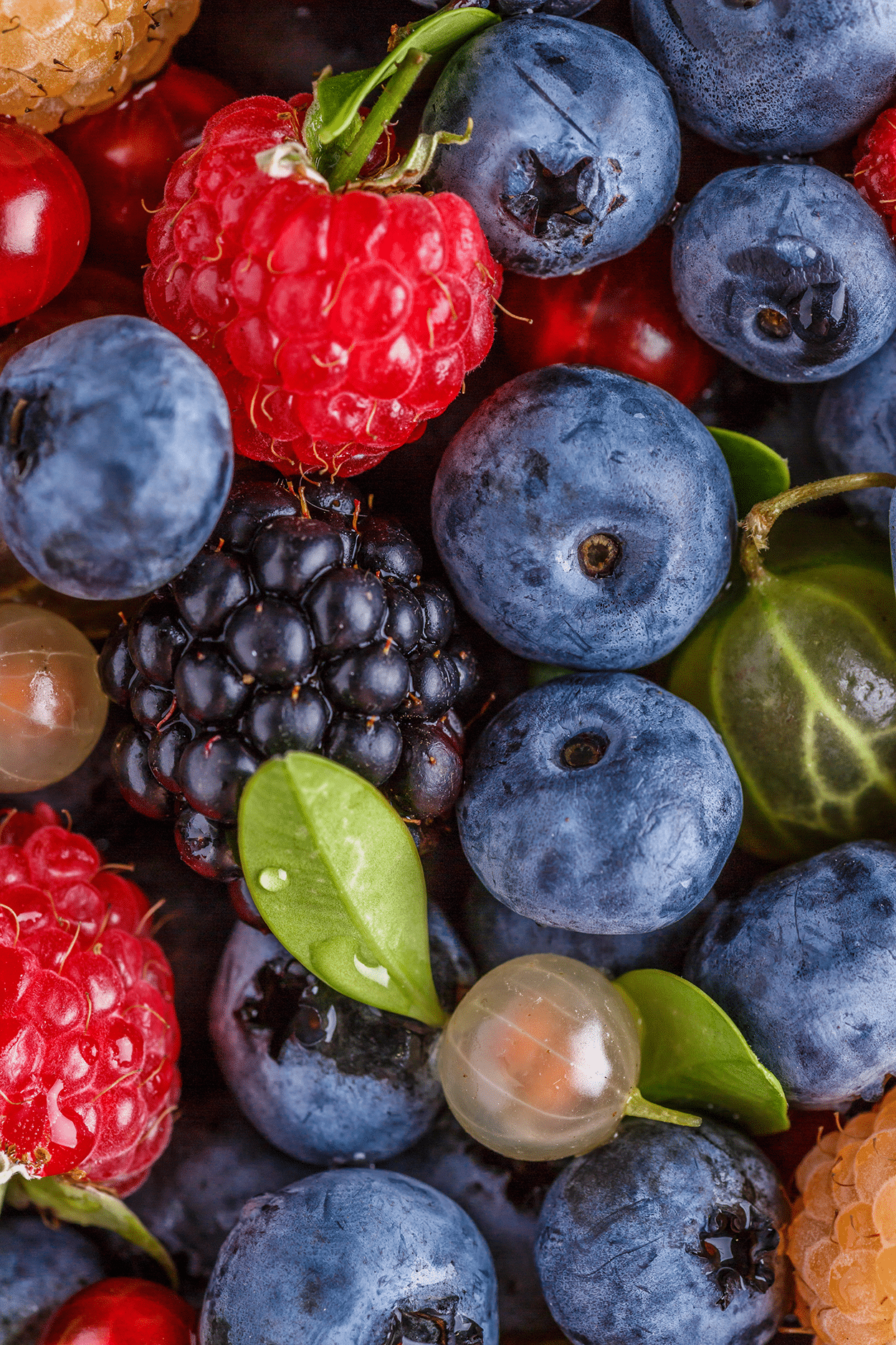 Best Fruits for Cocktails: Flavor Pairings, Liquor Matches, and Seasonal Tips 4 Berries for Cocktails