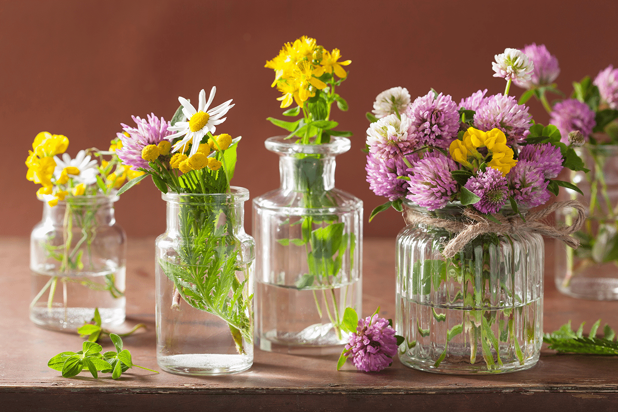 Edible Flowers in Cocktails: How to Safely Get the Best Flavor 1 Edible Flowers