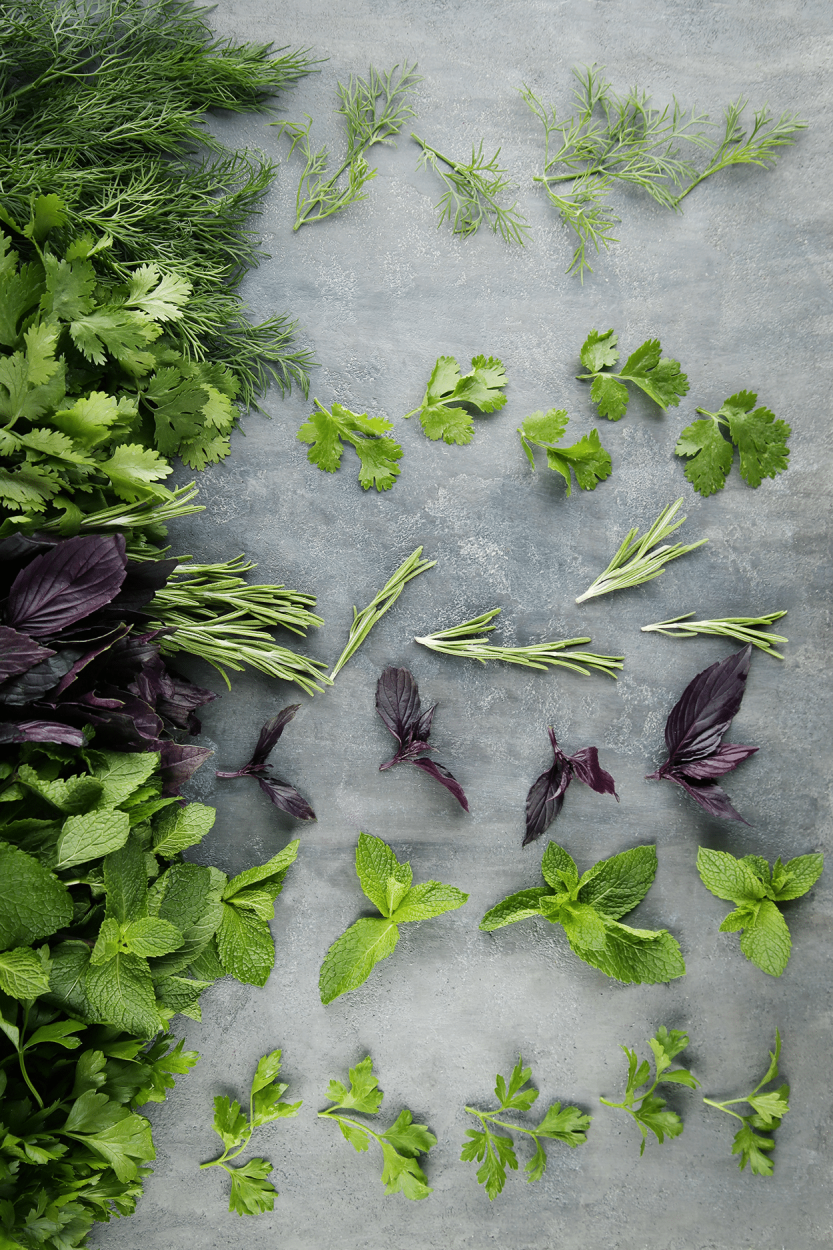 The Ultimate Guide to Using Fresh Herbs in Cocktails 1 Herbs in Cocktails