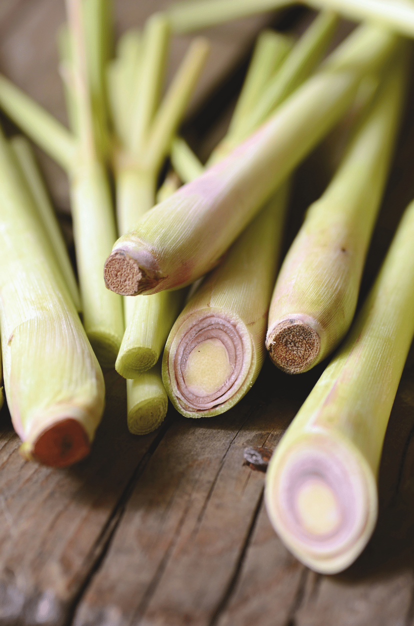 Lemongrass in Cocktails: Citrusy, Fresh, and Made for Island Vibes 2 Lemongrass