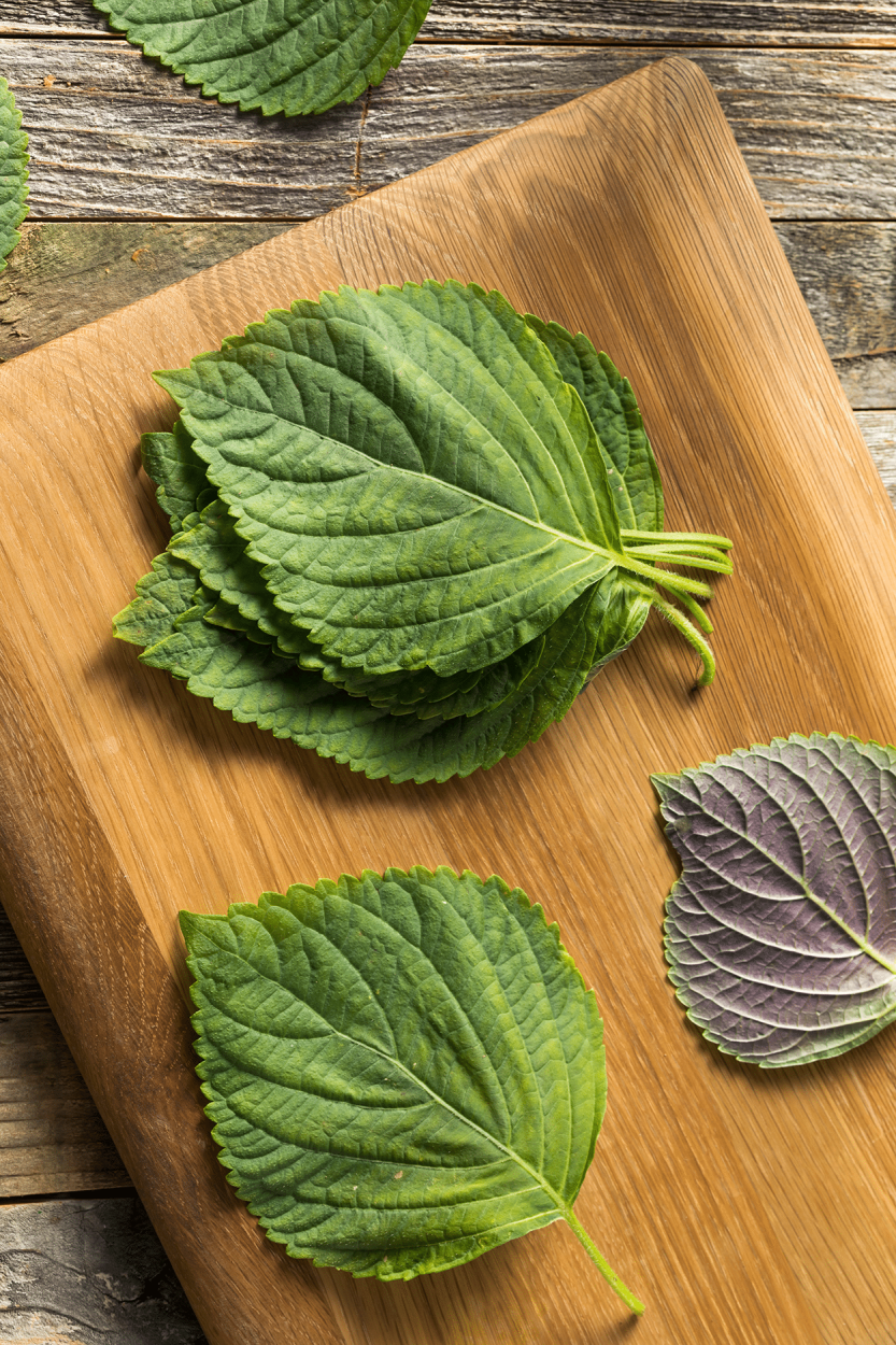 The Ultimate Guide to Using Fresh Herbs in Cocktails 16 Shiso leaves