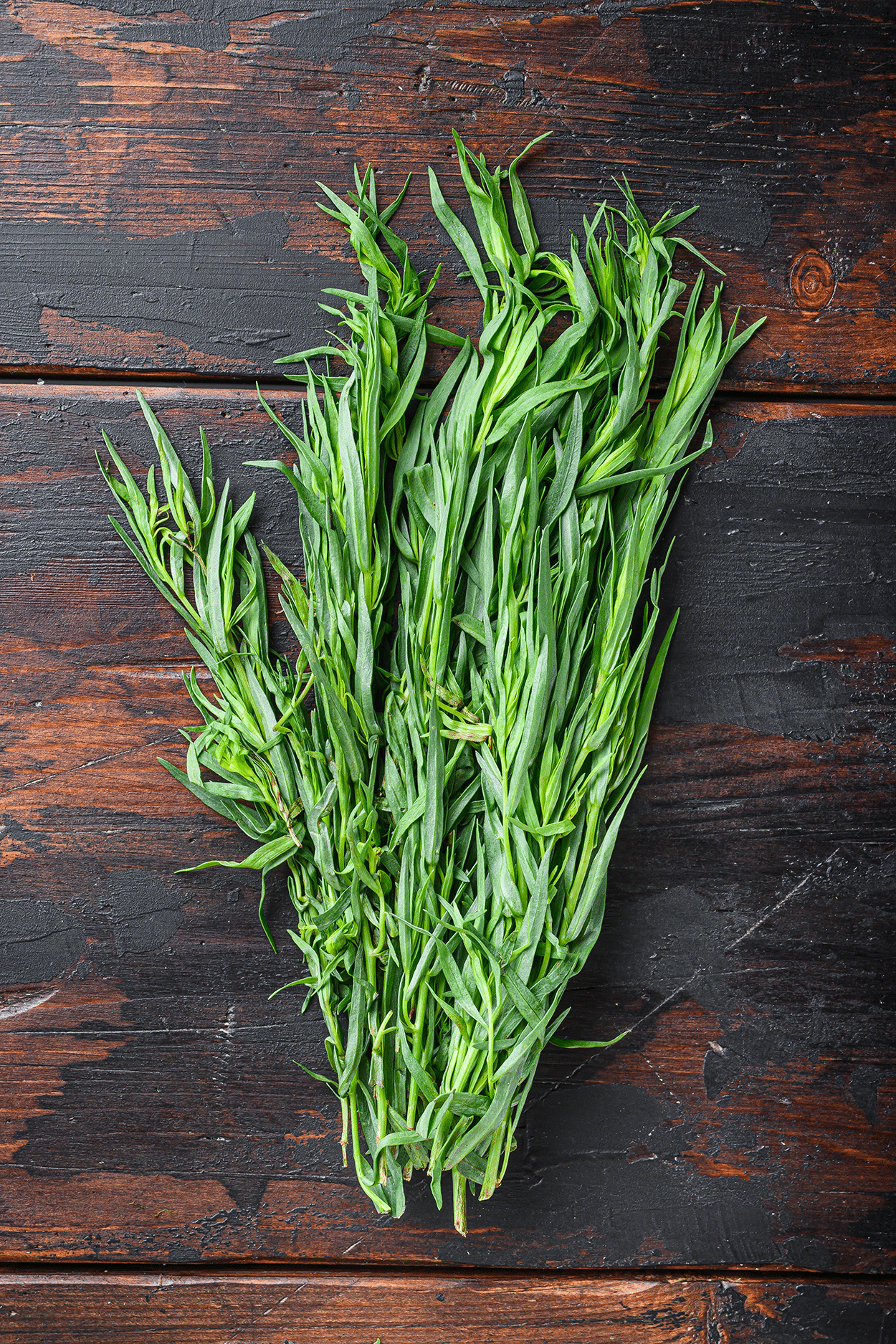 Tarragon in Cocktails: Sweet, Anise-Flavored, and Perfectly Unexpected 3 Tarragon