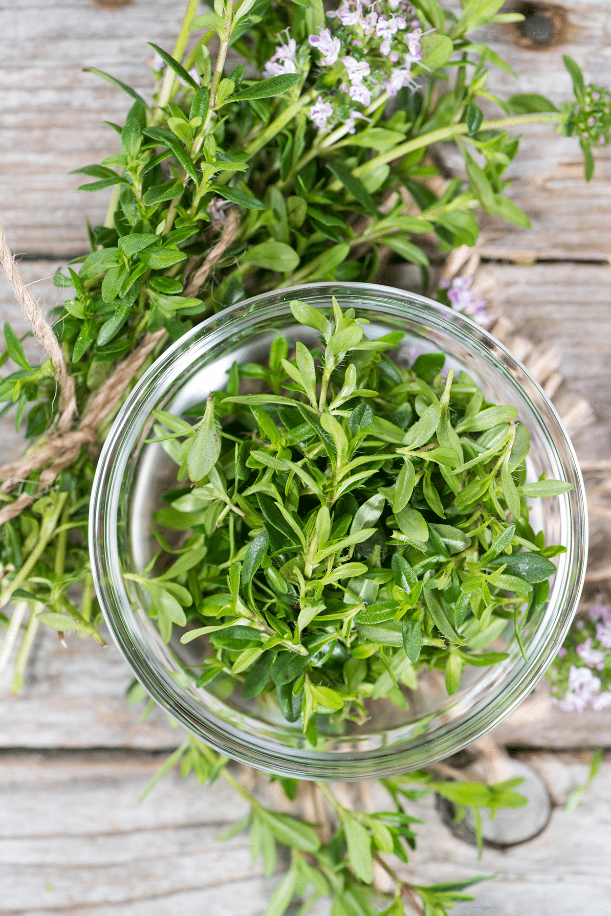Winter Savory in Cocktails: Peppery Herb for Seasonal Drink Recipes 35 Winter Savory