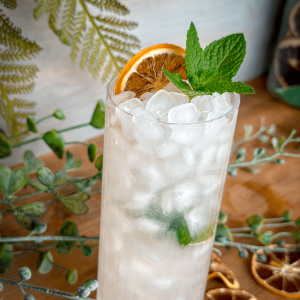 Orange Blossom Mojito 3 Orange Blossom Mojito cocktail recipe